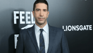 David Schwimmer Net Worth