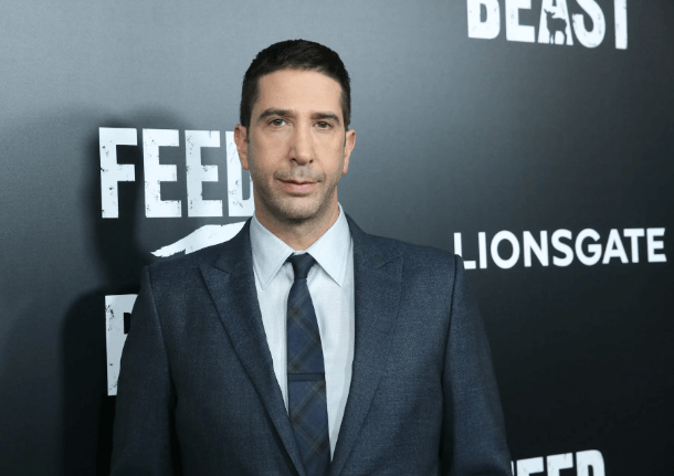 David Schwimmer Net Worth