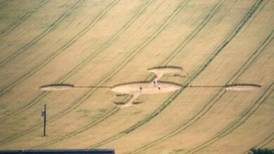 call data pattern analysis