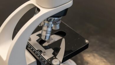 regional mobile usage analysis