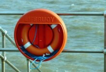 fraud prevention agency contact numbers