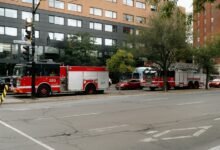 suspicious caller reporting hotline