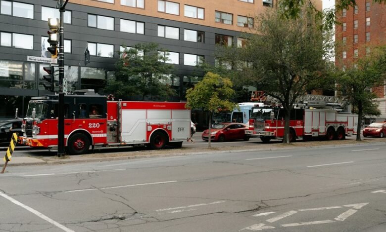 suspicious caller reporting hotline